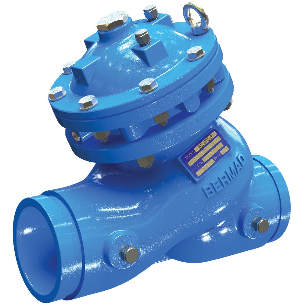 Victaulic Series 970-N Check Valve - Check Flow Control